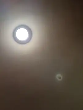 MrDaddyBbSnake online show from 28, 1, 2025