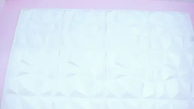 Sara conde online show from 8, 2, 2025