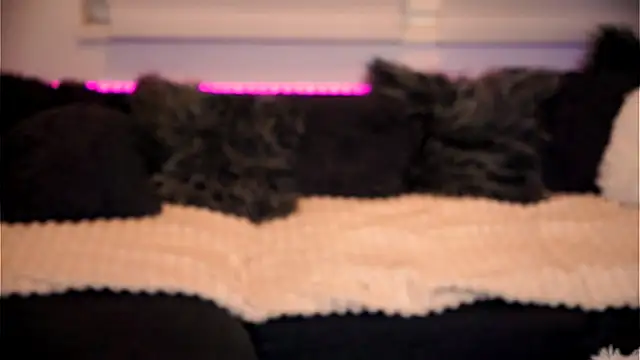 Snapshot of sweet_rapunzell chatting on 6, 2, 2026 sweet rapunzell online show from 6, 2, 2026