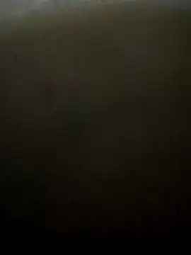 puneribull online show from 8, 3, 2025