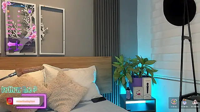Snapshot of Elise-Leyton chatting on 11, 6, 2026 Elise-Leyton online show from 11, 6, 2026