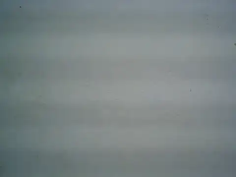 Snapshot of michel1520 chatting on 30, 6, 2026 michel1520 online show from 30, 6, 2026