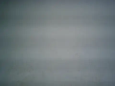 Snapshot of michel1520 chatting on 2, 7, 2026 michel1520 online show from 2, 7, 2026