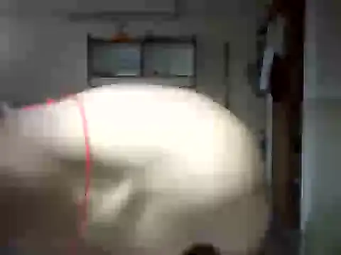 venom26 online show from 14, 9, 2025