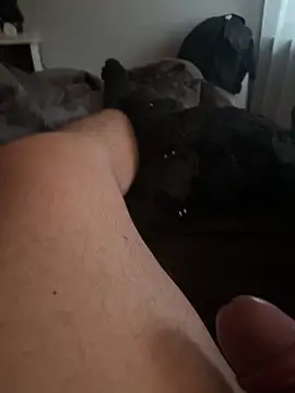 Snapshot of Mike3821 chatting on 19, 1, 2026 Mike3821 online show from 19, 1, 2026