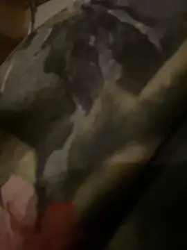 QTeepye online show from 19, 2, 2026