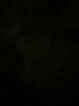 Lilymoonshow online show from 17, 2, 2025