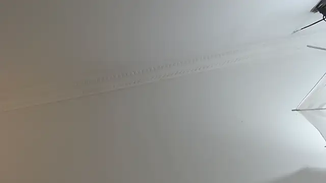 Snapshot of BrandonColee chatting on 10, 2, 2025 BrandonColee online show from 10, 2, 2025