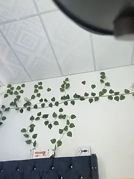 miaa--pervert online show from 15, 1, 2025