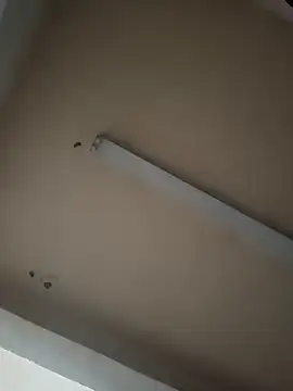 boyvergon online show from 17, 1, 2025