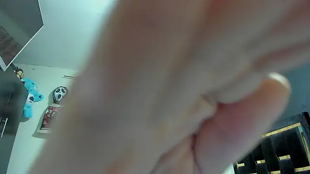 Snapshot of DanteAndKyle chatting on 17, 3, 2026 DanteAndKyle online show from 17, 3, 2026