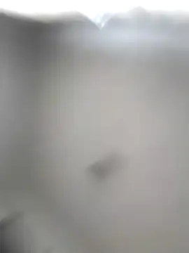 Snapshot of Godessofpleasxa chatting on 16, 12, 2025 Godessofpleasxa online show from 16, 12, 2025