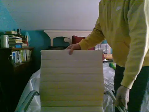 Snapshot of Prolapse_Pig chatting on 3, 2, 2025 Prolapse Pig online show from 3, 2, 2025