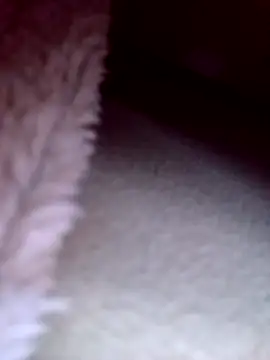 Putinha33333 online show from 22, 2, 2026