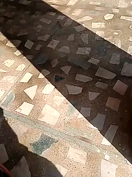 Raj41 online show from 13, 11, 2025