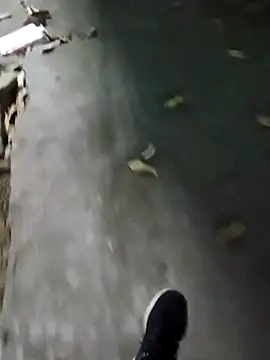 Raj41 online show from 13, 1, 2026