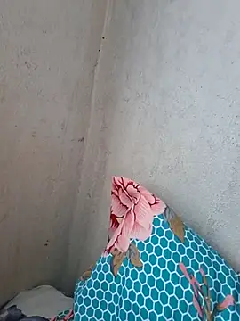 Snapshot of novinhatransexy chatting on 3, 11, 2025 novinhatransexy online show from 3, 11, 2025