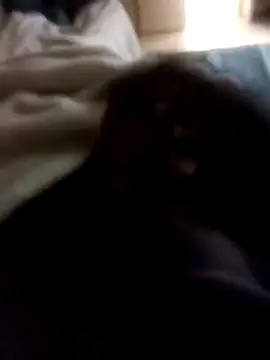 Sbu gold online show from 12, 1, 2026