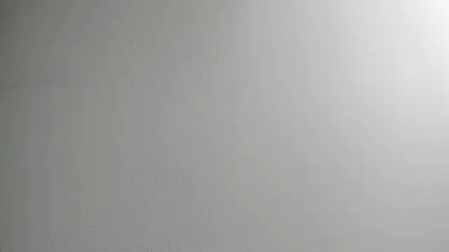 Snapshot of Tombarden chatting on 11, 2, 2025 Tombarden online show from 11, 2, 2025