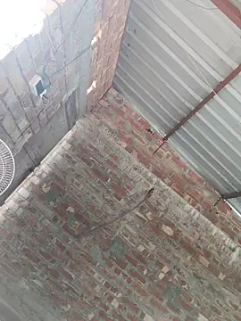 Snapshot of birds0641 chatting on 24, 10, 2025 birds0641 online show from 24, 10, 2025