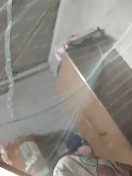 Snapshot of birds0641 chatting on 31, 3, 2026 birds0641 online show from 31, 3, 2026