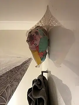 Chori56 online show from 7, 1, 2026