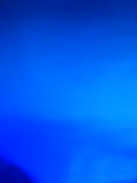 wadmma online show from 21, 2, 2026