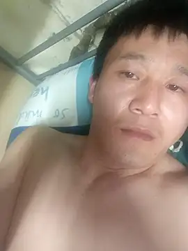 wadmma online show from 29, 3, 2026