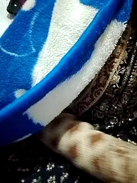 saaniya online show from 5, 1, 2026