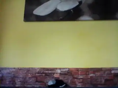 Snapshot of sexy_lady2 chatting on 17, 2, 2025 sexy lady2 online show from 17, 2, 2025