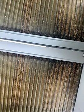 Nikki vega online show from 10, 1, 2026