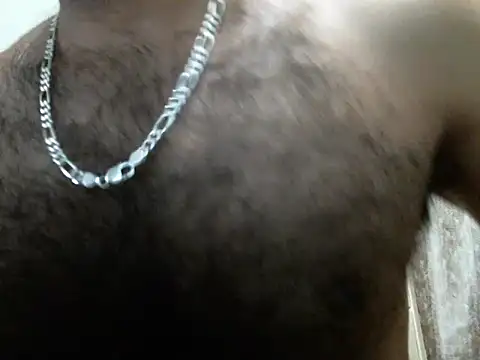 indianhairybull online show from 16, 4, 2026