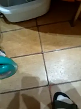 NAvoglia online show from 12, 3, 2026