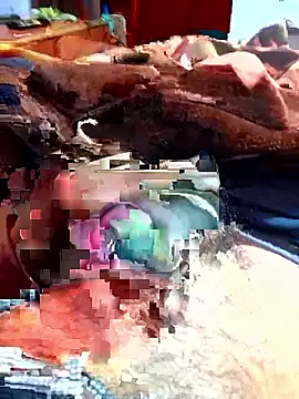 Sexygagan123 online show from 18, 1, 2026