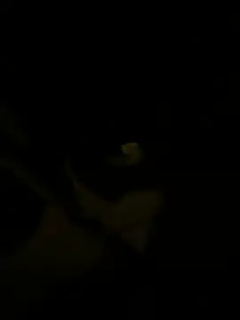 Snapshot of sark0606 chatting on 6, 2, 2025 sark0606 online show from 6, 2, 2025