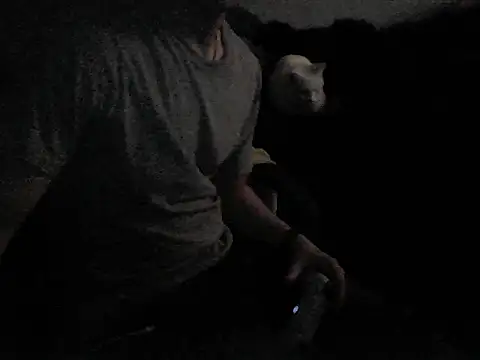 Snapshot of MarioKnero chatting on 26, 2, 2026 MarioKnero online show from 26, 2, 2026