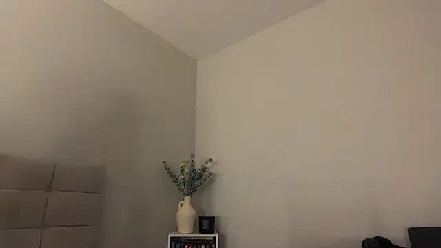 Snapshot of skyejde chatting on 5, 4, 2026 skyejde online show from 5, 4, 2026