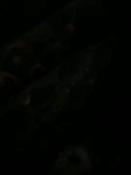 leonard  123 online show from 6, 2, 2025