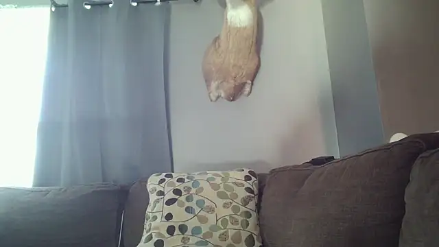 sexiirose22 online show from 25, 3, 2026