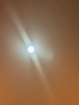 ValentinaOrtiz3 online show from 16, 1, 2026