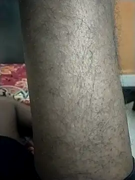 venky2026 online show from 15, 9, 2025