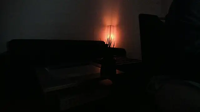 molicaremolicare online show from 4, 11, 2025