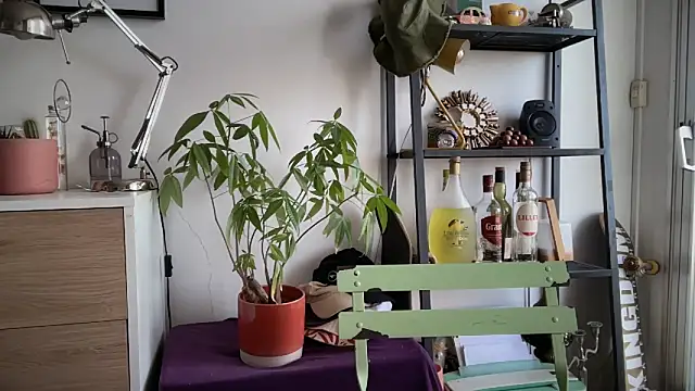 Snapshot of MikymikeBBWD chatting on 4, 11, 2025 MikymikeBBWD online show from 4, 11, 2025