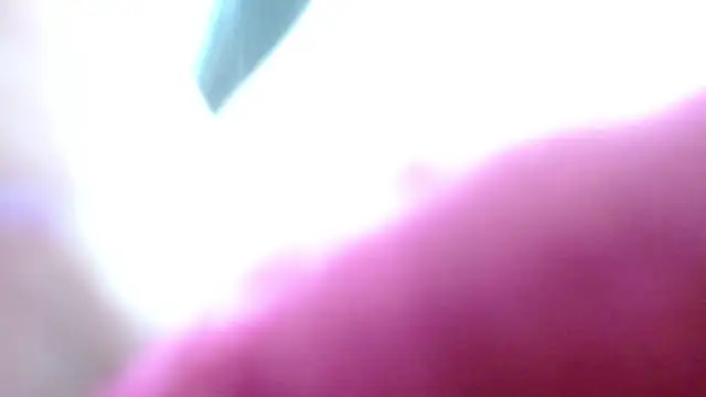 Snapshot of camilah_tk chatting on 13, 5, 2026 camilah tk online show from 13, 5, 2026