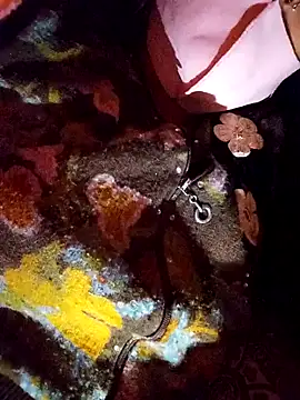 PPP 25 online show from 14, 11, 2025