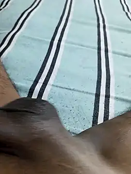 desi pb02 online show from 17, 3, 2026