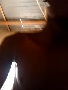 Snapshot of lilpip chatting on 15, 2, 2026 lilpip online show from 15, 2, 2026