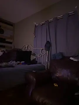 Polaroid White online show from 4, 3, 2025