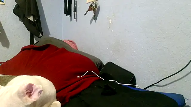 Snapshot of PornStro921 chatting on 3, 5, 2026 PornStro921 online show from 3, 5, 2026