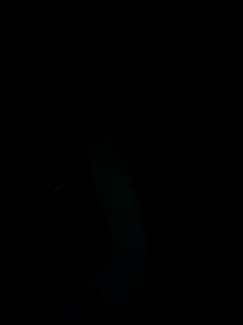 Snapshot of SunnY-0124@xh chatting on 25, 2, 2025 SunnY-0124xh online show from 25, 2, 2025